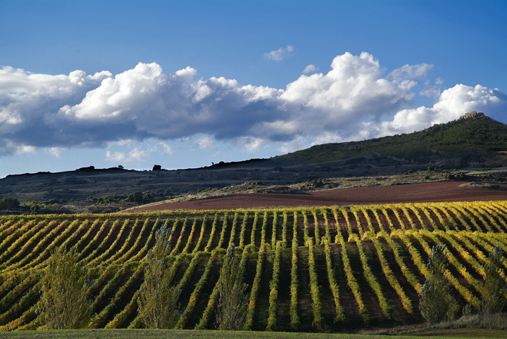 Bodegas Castillo de Monjardín