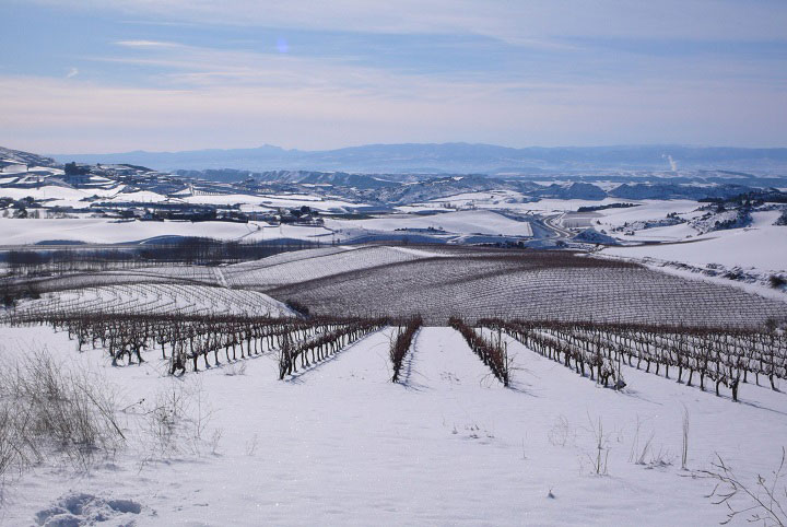 Deyo, unique vineyard - Castillo de Monjardín