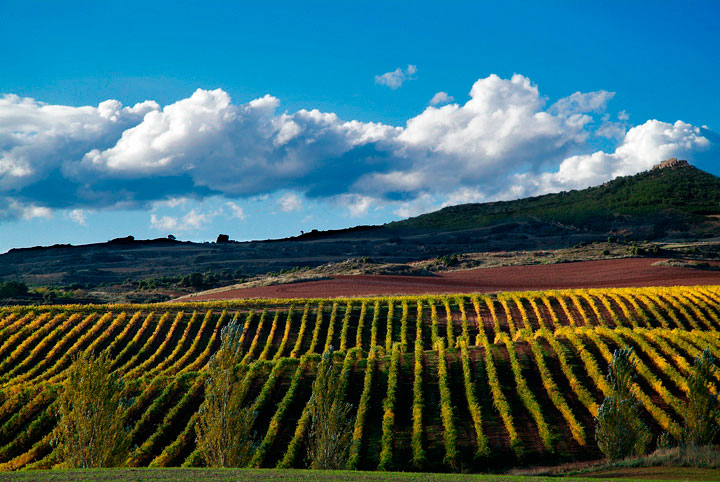 Valle de Monjardin - Castillo de Monjardín